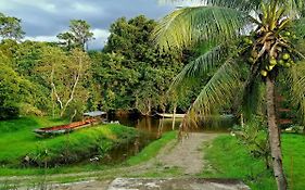Mulu Diana Homestay